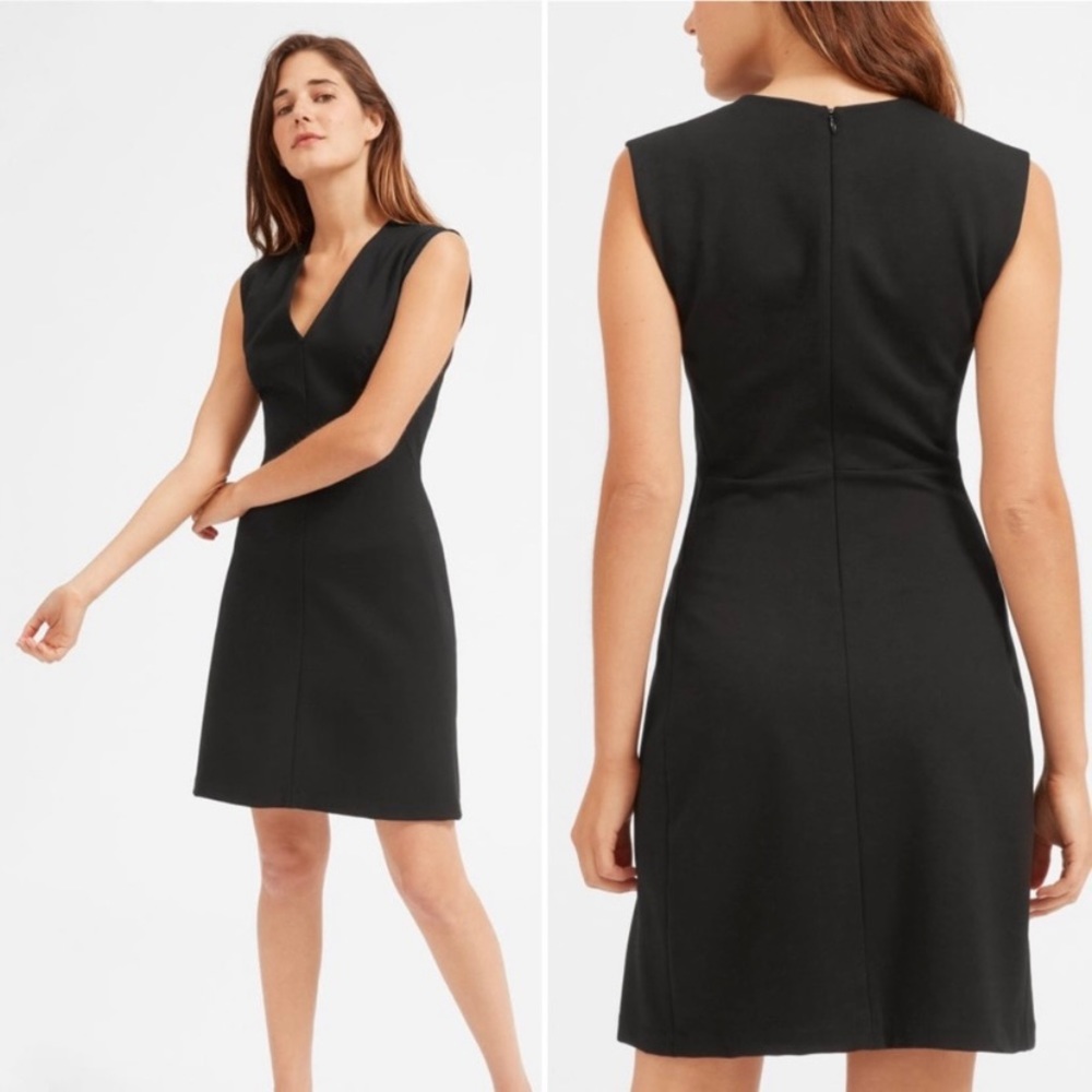 Everlane The Sleeveless V- Neck Flare Black Dress